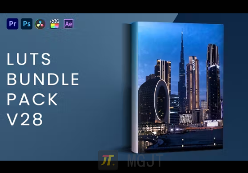 LUT预设-20霓虹专业婚礼LUTs套装LUTs Bundle Pack V28-MGJT资源