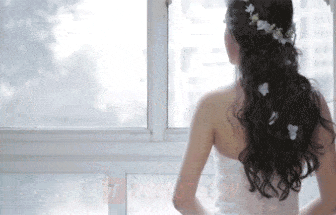 Ae模版-鲜花手绘婚礼标题包wedding-titles-pack-MGJT资源