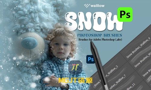 PS笔刷-20个逼真冬季的雪景图像画笔效果-MGJT资源