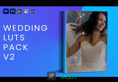 LUT预设-20个婚礼调色套装第二版Wedding Luts Pack V2-MGJT资源