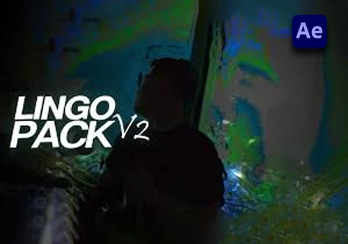 Payhip  手工制作和自定义拖放预设 Lingo Pack V2（300+）-AE-MGJT资源