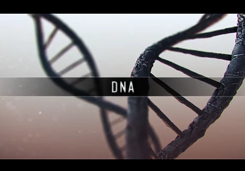 DNA（脱氧核糖核酸）（4张）-MGJT资源