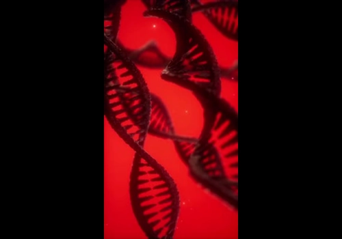DNA 双螺旋结构动画 手机垂直板-MGJT资源