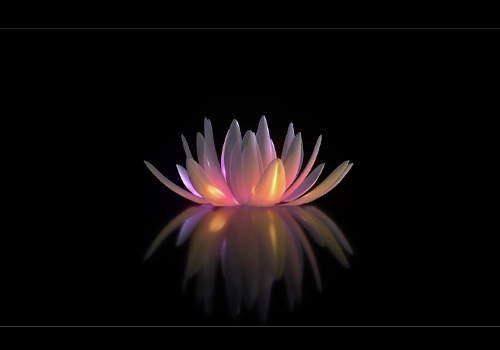 一朵发光的半透明莲花旋转视频素材-MGJT资源