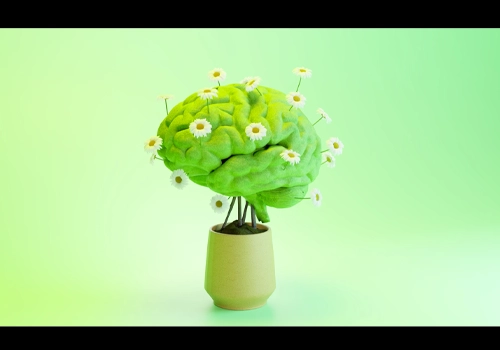 渐变绿色环上的盆栽中的3D纹理绿脑盛开花视频素材-MGJT资源