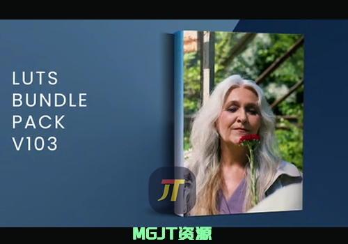 LUT预设-20个圣诞节和婚礼调色套装 Bundle Pack V103 | FCPX-MGJT资源