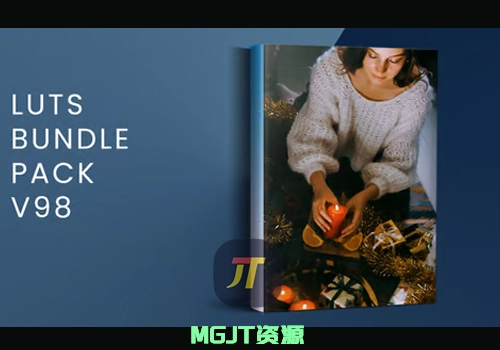 LUT预设-20个圣诞节调色套装 Bundle Pack V98 | FCPX-MGJT资源