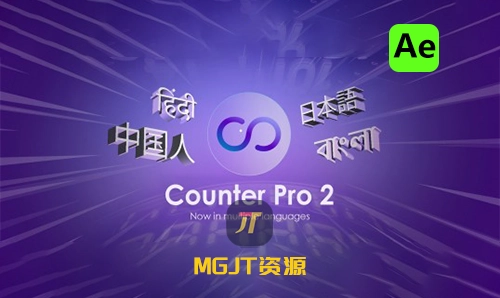 Ae脚本-动态计数器动画生成器 Counter Pro v2.0-MGJT资源