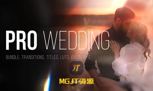专业婚礼套装-过渡、标题、LUT、叠加效果 PR&AE&Davinci Resolve模板-MGJT资源