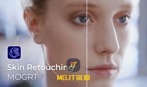 5组快速修饰任何皮肤效果 PR&AE 模板-MGJT资源