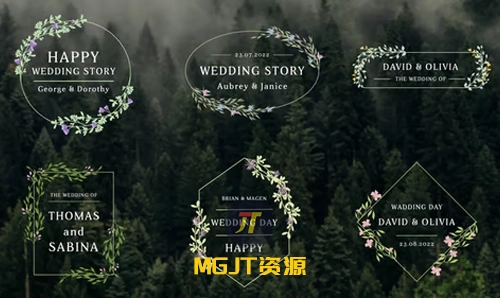 6个爱的婚礼标题头衔 AE 模板-MGJT资源
