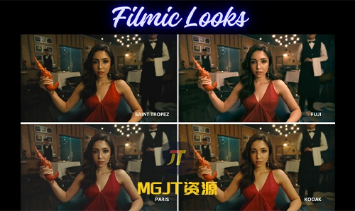 LUT预设- Frenchie 颜色分级调色师同伴包 - 完整版 Colorist Companion Pack - Full-MGJT资源
