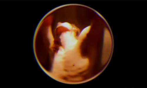pixflow 专业 VFX 鱼眼镜头效果 Ae 02  Fish Eye Lens Effect Ae 02-MGJT资源