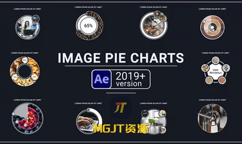10个图像饼图小部件动画效果 PR 模板-MGJT资源