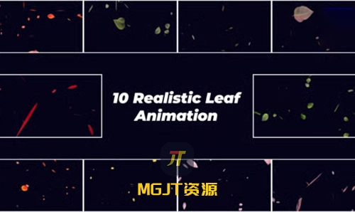 10种逼真的落叶视觉特效 AE 模板-MGJT资源