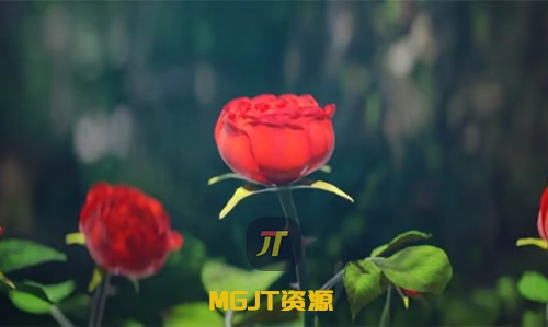 红色玫瑰LOGO标志揭晓特效 AE模板-MGJT资源