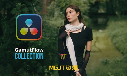 Jacques Crafford 热门电影级商业广告短片达芬奇调色节点+LUT+原始灰片  GamutFlow COLLECTION-MGJT资源