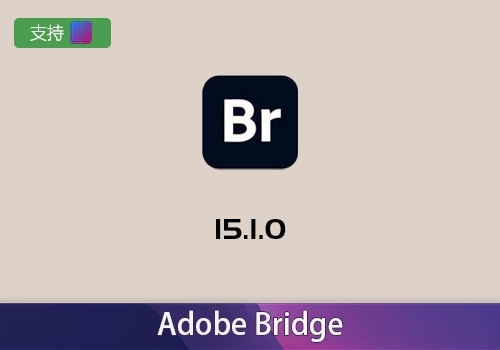Adobe Bridge 2025 v15.1.0 [win]-MGJT资源