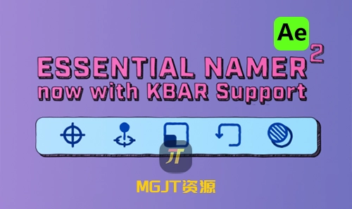 Ae脚本-基本图形面板添加自定义名称属性 Essential Namer 2 v2.4.2-MGJT资源