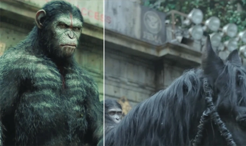 pixflow 专业8K电影-人猿星球之战调色LUT  War for the Planet of the Apes Lut-MGJT资源