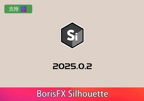 ROTO跟踪抠像合成软件 BorisFX Silhouette 2025.0.2[win]-MGJT资源