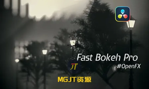 OFX插件 – 快速镜头景深模糊Fast Bokeh Pro  v2.0.9[win]-MGJT资源