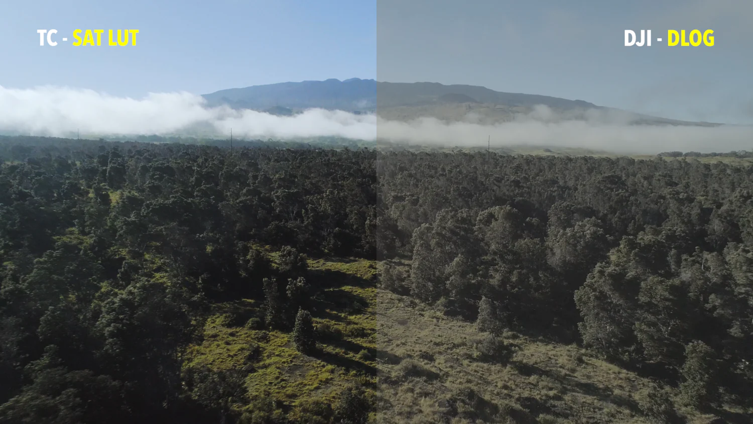 LUT预设-10款大疆无人机航拍DLog视频调色 Tropic Colour - Drone LUTs LUT预设-10款大疆无人机航拍DLog视频调色 Tropic Colour - Drone LUTs