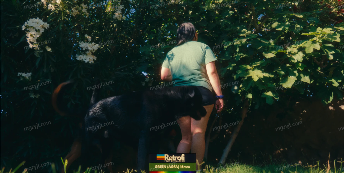 达芬奇预设-复古电影仿真柯达/AGFA/Porta400浓郁胶片模拟调色 Retrofi Film Emulation PowerGrades for Davinci Resolve 达芬奇预设-复古电影仿真柯达/AGFA/Porta400浓郁胶片模拟调色 Retrofi Film Emulation PowerGrades for Davinci Resolve