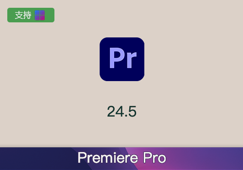 Adobe Premiere Pro 2024 v24.5.0中文版[win]-MGJT资源