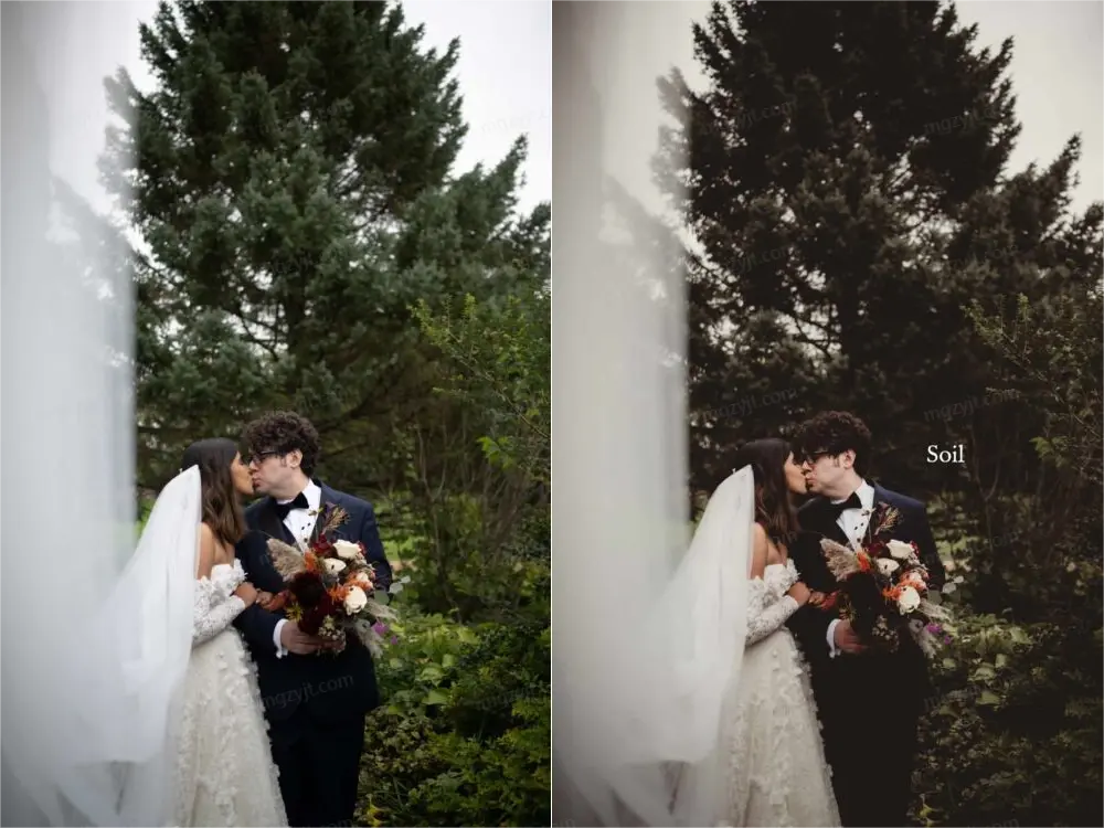 PS动作 - 22款自然美景图像色调调色工具 twig & olive – photoshop cc actions | earthen PS动作 - 22款自然美景图像色调调色工具 twig & olive – photoshop cc actions | earthen
