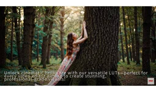 LUT预设-OpenAI Sora 视频提示和调色LUT OpenAI Sora Videos Prompts & LUTs for Color Grading LUT预设-OpenAI Sora 视频提示和调色LUT OpenAI Sora Videos Prompts & LUTs for Color Grading