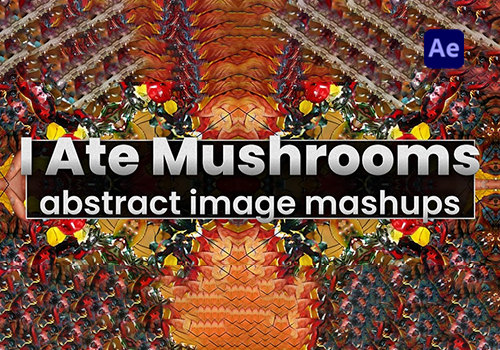 AE插件-AI神经网络图像生成器 I Ate Mushrooms v1.7.15[mac]-MGJT资源