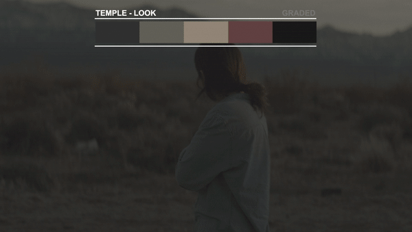 LUT预设-10组热带色彩复古电影视频调色Tropic Colour – Vintage LUTs LUT预设-10组热带色彩复古电影视频调色Tropic Colour – Vintage LUTs