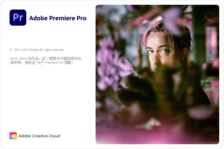 Adobe Premiere Pro 2025 v25.0[win]MGJT资源